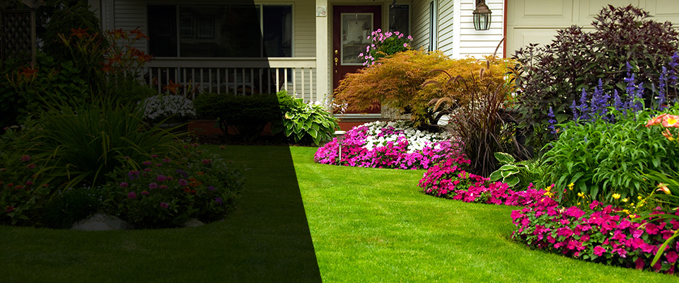 Roscoe Landscapers